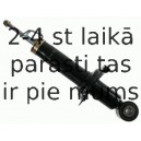 Amortizators SACHS 313 769