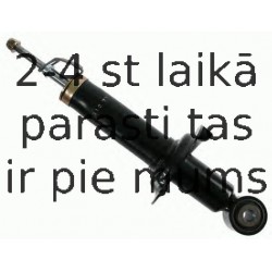 Amortizators SACHS 313 769