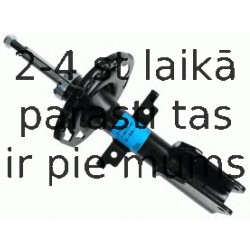 Amortizators SACHS 313 802