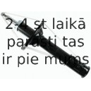 Amortizators SACHS 313 848