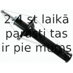 Amortizators SACHS 313 848