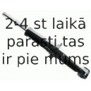 Amortizators SACHS 313 850