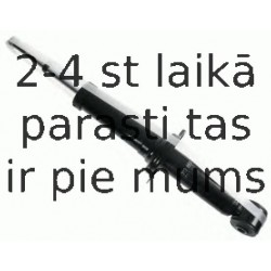 Amortizators SACHS 313 850