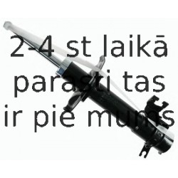 Amortizators SACHS 313 852