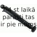 Amortizators SACHS 313 856