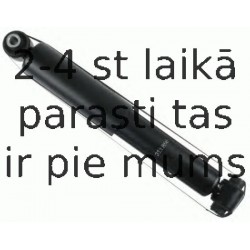 Amortizators SACHS 313 856