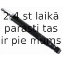 Amortizators SACHS 313 857