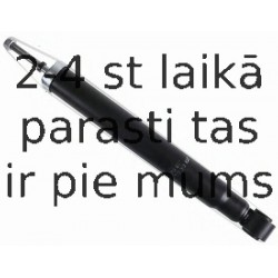 Amortizators SACHS 313 857