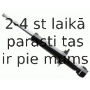 Amortizators SACHS 313 861