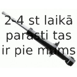 Amortizators SACHS 313 861