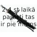 Amortizators SACHS 313 864