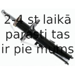 Amortizators SACHS 313 864