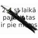 Amortizators SACHS 313 865