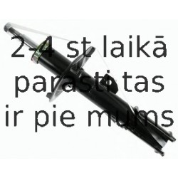 Amortizators SACHS 313 865