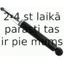 Amortizators SACHS 313 880