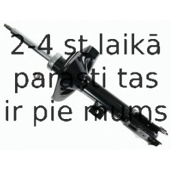 Amortizators SACHS 313 881