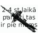 Amortizators SACHS 313 882