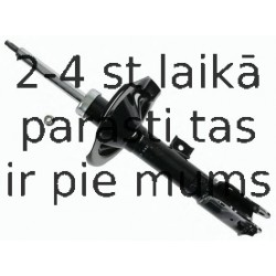 Amortizators SACHS 313 882