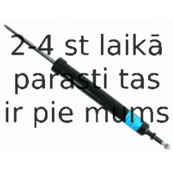 Amortizators SACHS 313 933