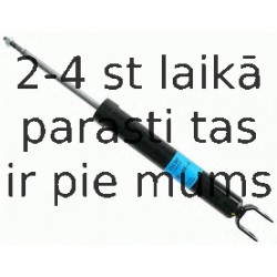 Amortizators SACHS 314 007