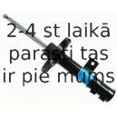 Amortizators SACHS 314 009