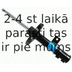 Amortizators SACHS 314 009