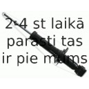 Amortizators SACHS 314 031