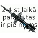 Amortizators SACHS 314 038