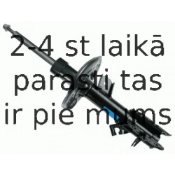 Amortizators SACHS 314 038