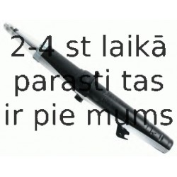 Amortizators SACHS 314 058