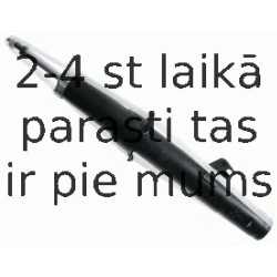 Amortizators SACHS 314 059