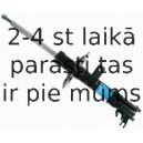 Amortizators SACHS 314 134