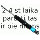 Amortizators SACHS 314 457