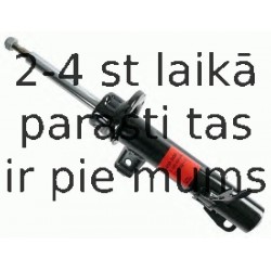 Amortizators SACHS 400 006