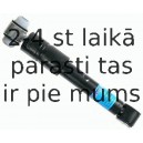 Amortizators SACHS 553 665