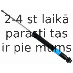 Amortizators SACHS 556 275