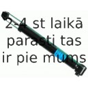 Amortizators SACHS 556 279