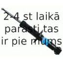 Amortizators SACHS 556 281