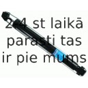 Amortizators SACHS 556 301