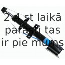 Amortizators SACHS 556 307