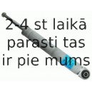 Amortizators SACHS 556 473