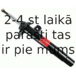 Amortizators SACHS 556 874