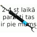 Amortizators SACHS 557 833