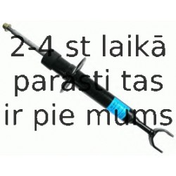 Amortizators SACHS 557 833