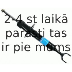 Amortizators SACHS 557 837