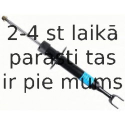 Amortizators SACHS 558 301