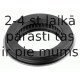 Подшипник качения, опора стойки амортизатора SACHS 801 038