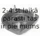 Amortizatora statnes balsts SACHS 802 096