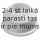 Amortizatora statnes balsts SACHS 802 265