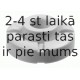 Amortizatora statnes balsts SACHS 802 544